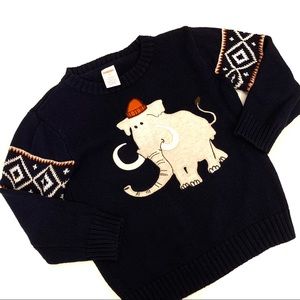 EUC Gymboree Boy winter sweater in size 3T